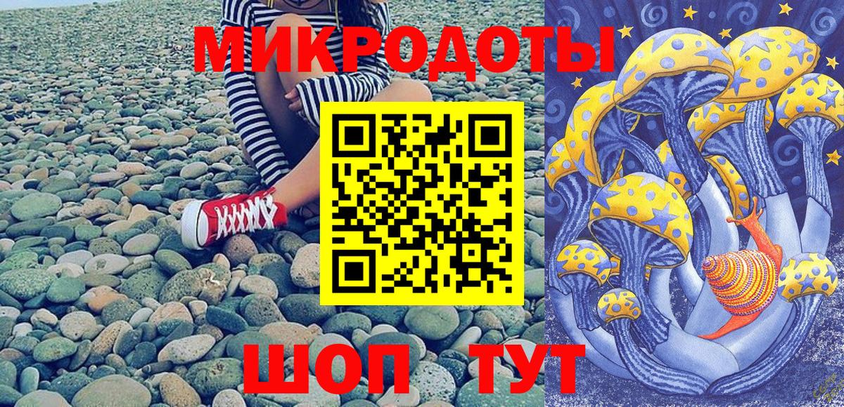 Галлюциногенные грибы Psilocybe Большой Камень