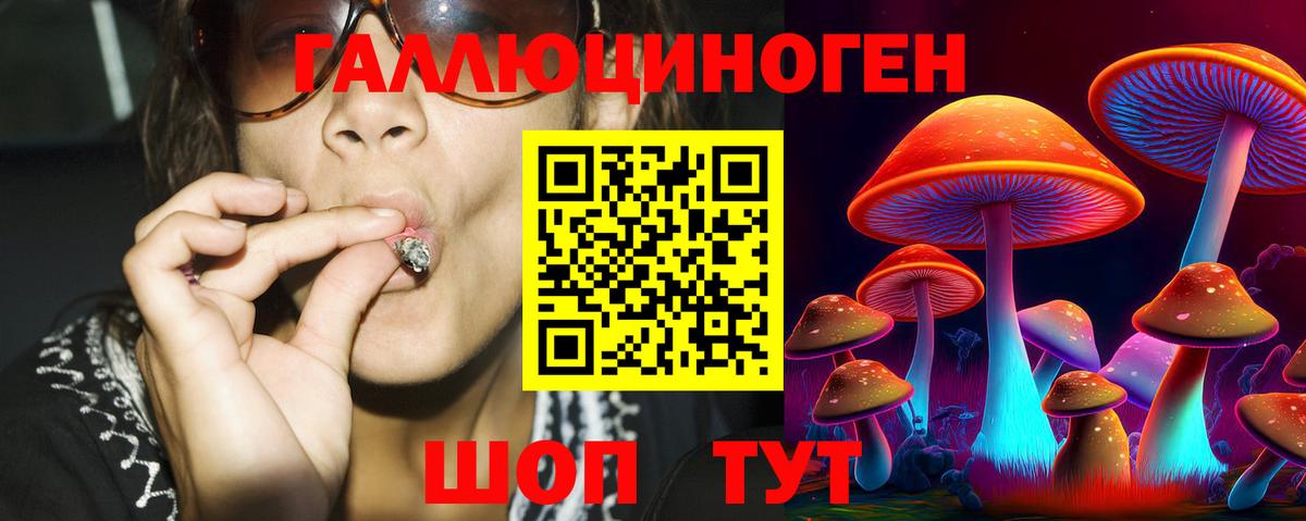Галлюциногенные грибы мицелий  Вход с VPN  Большой Камень  хочу   Галлюциногенные грибы прущие грибы 